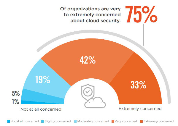 2020 Cloud Security Report